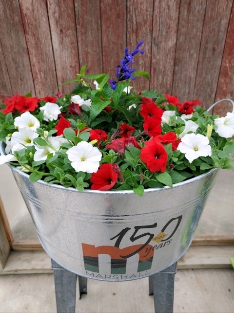 150th Flower Container